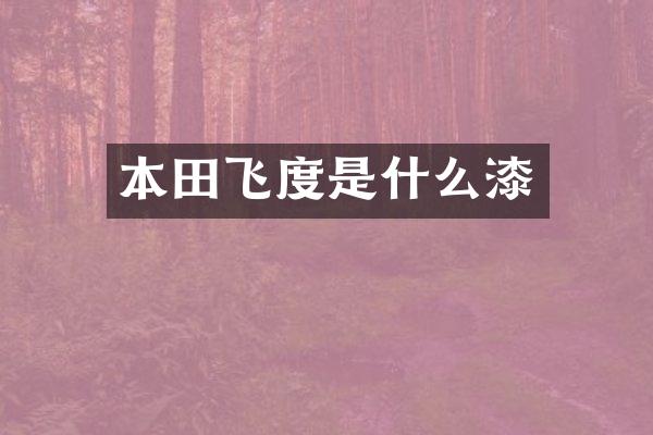 本田飞度是什么漆
