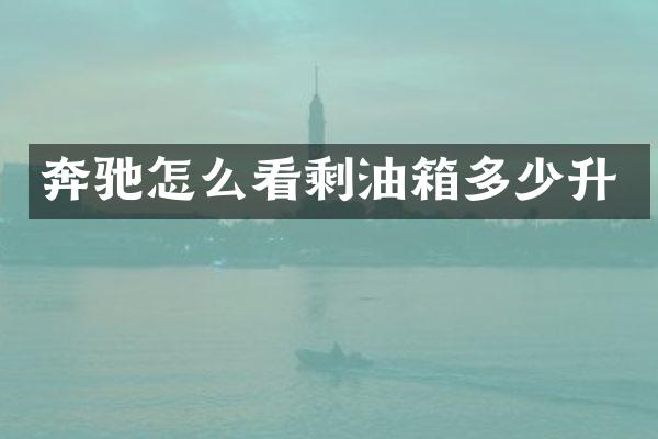 奔驰怎么看剩油箱多少升