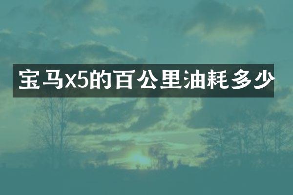 宝马x5的百公里油耗多少