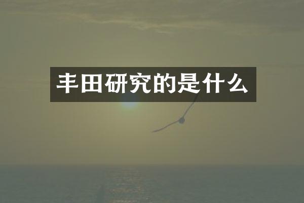 丰田研究的是什么