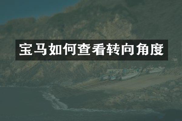宝马如何查看转向角度