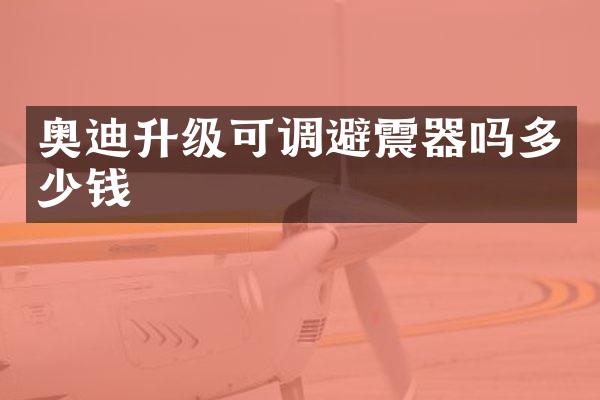 奥迪升级可调避震器吗多少钱