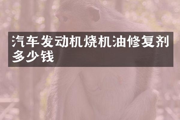 汽车发动机烧机油修复剂多少钱