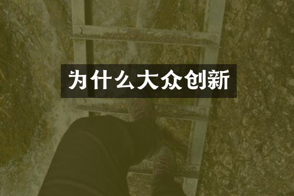 为什么大众创新