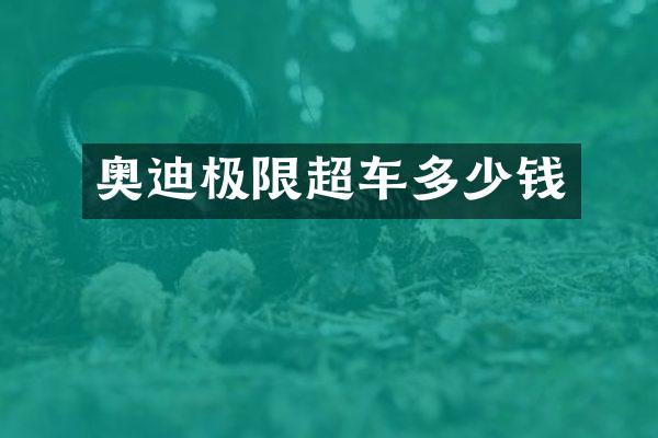 奥迪极限超车多少钱