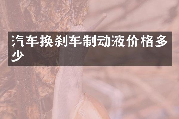 汽车换刹车制动液价格多少