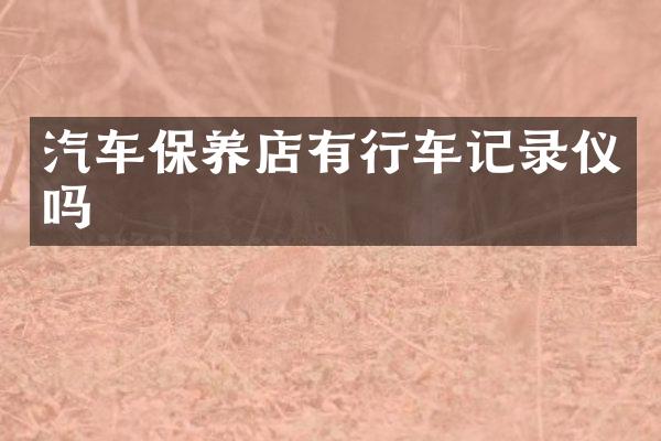 汽车保养店有行车记录仪吗