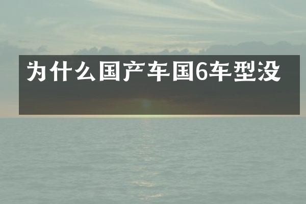 为什么国产车国6车型没有