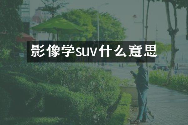 影像学suv什么意思