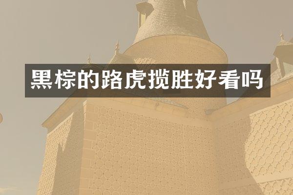 黑棕的路虎揽胜好看吗