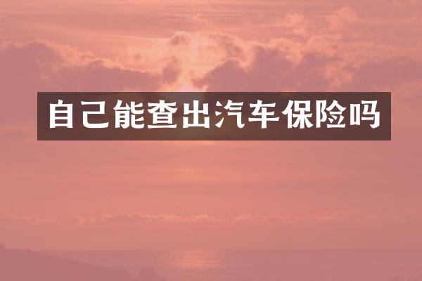 自己能查出汽车保险吗