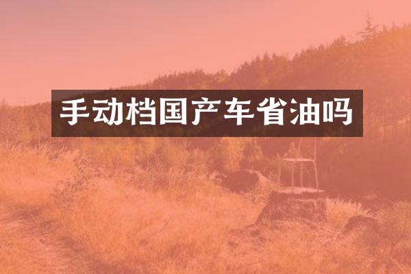 手动档国产车省油吗