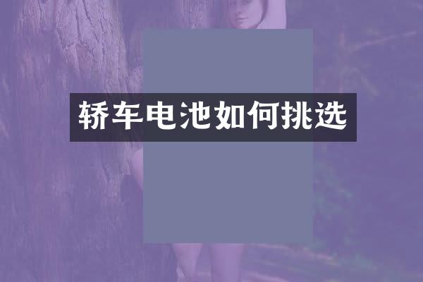 轿车电池如何挑选