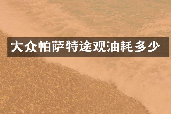 大众帕萨特途观油耗多少
