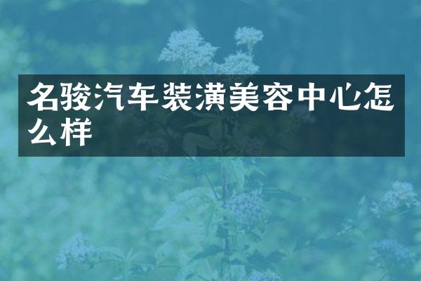 名骏汽车装潢美容中心怎么样