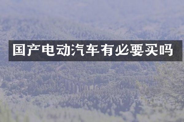 国产电动汽车有必要买吗