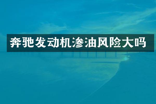 奔驰发动机渗油风险大吗