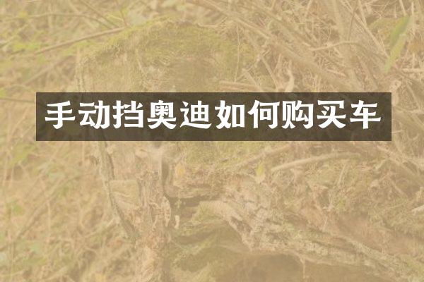 手动挡奥迪如何购买车