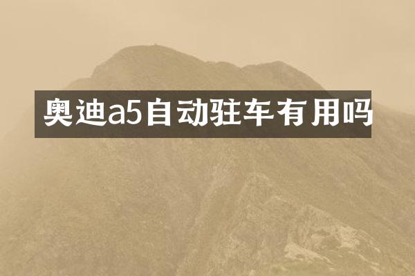 奥迪a5自动驻车有用吗
