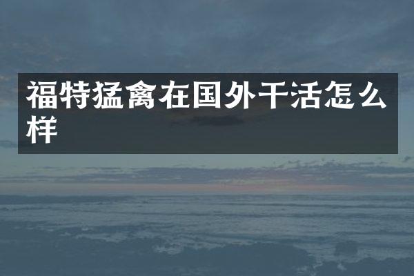 福特猛禽在国外干活怎么样
