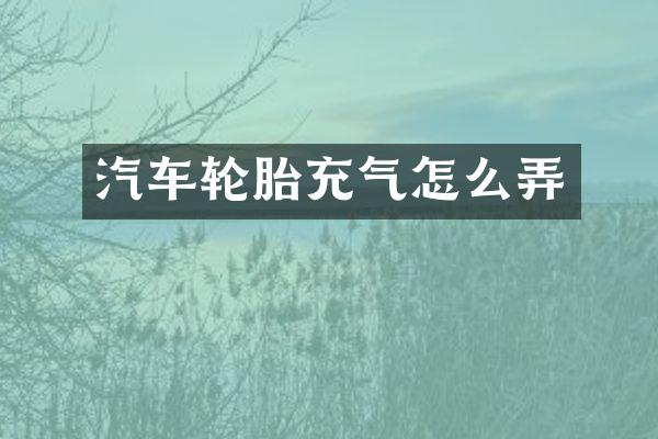 汽车轮胎充气怎么弄