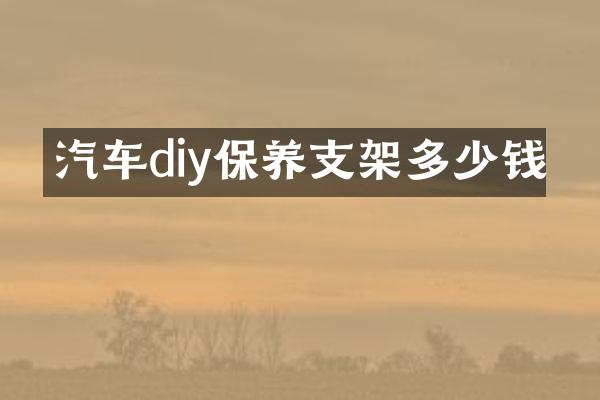 汽车diy保养支架多少钱