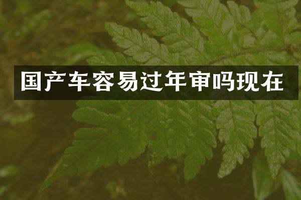 国产车容易过年审吗现在