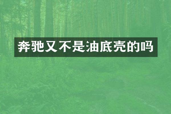 奔驰又不是油底壳的吗