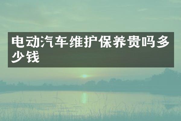 电动汽车维护保养贵吗多少钱