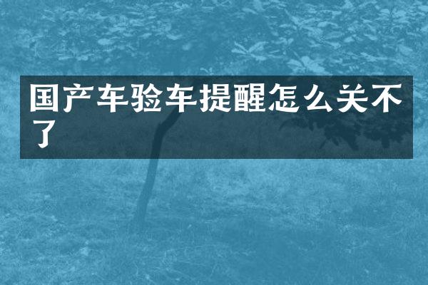 国产车验车提醒怎么关不了