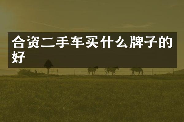 合资二手车牌子的好