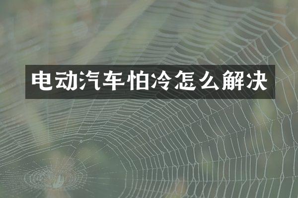电动汽车怕冷怎么解决
