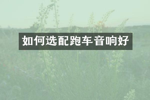 如何选配跑车音响好