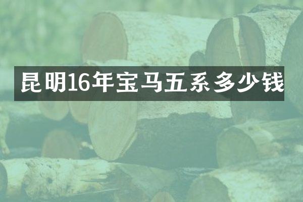 昆明16年宝马五系多少钱