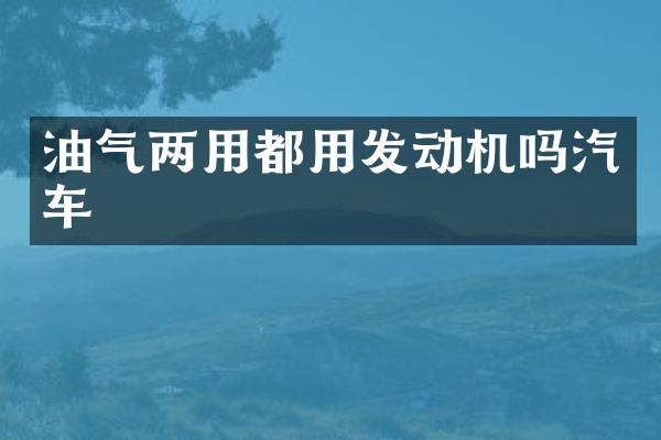 油气两用都用发动机吗汽车