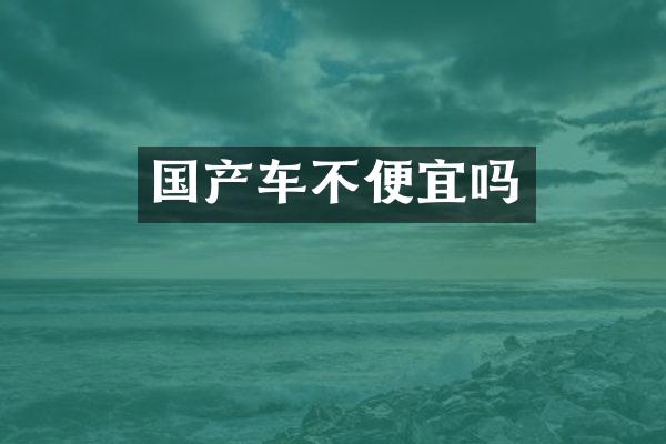 国产车不便宜吗