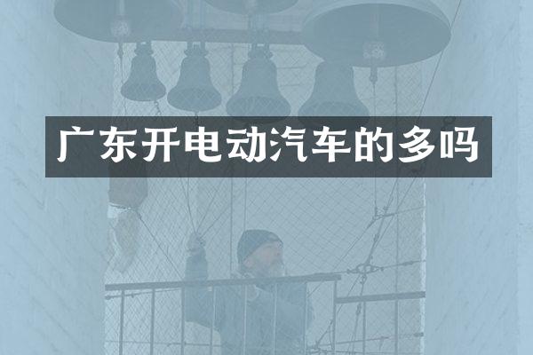广东开电动汽车的多吗