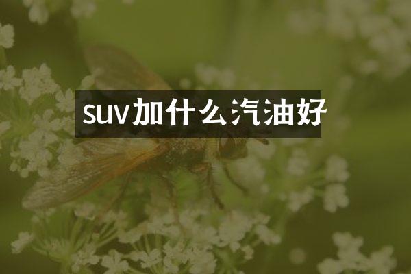 suv加什么汽油好