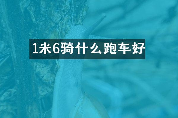 1米6骑什么跑车好
