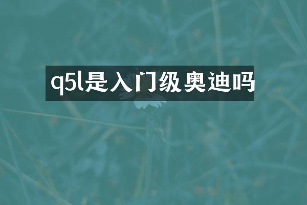 q5l是入门级奥迪吗