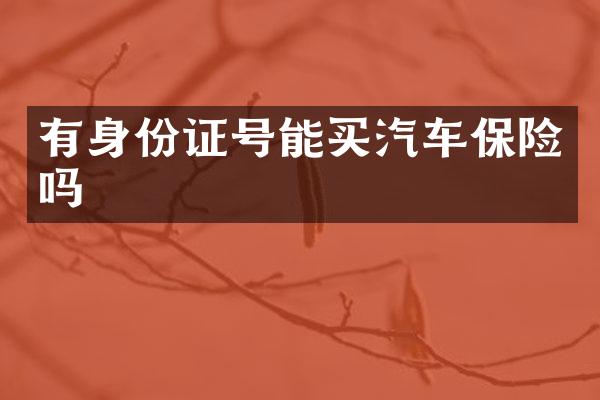 有身份证号能买汽车保险吗