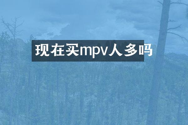 现在买mpv人多吗