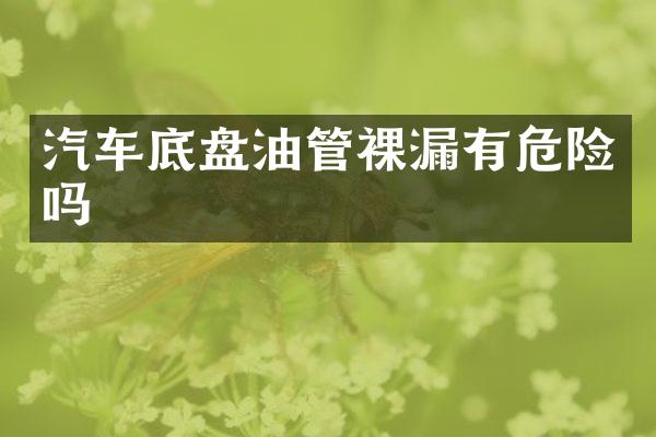 汽车底盘油管裸漏有危险吗