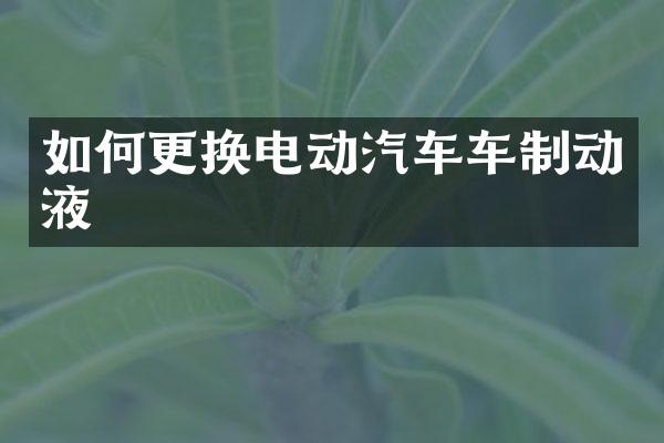 如何更换电动汽车车制动液