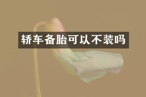 轿车备胎可以不装吗