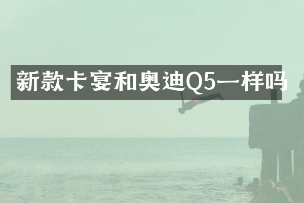 新款卡宴和奥迪Q5一样吗