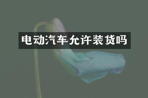 电动汽车允许装货吗