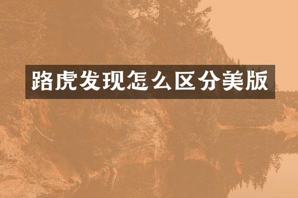 路虎发现怎么区分美版