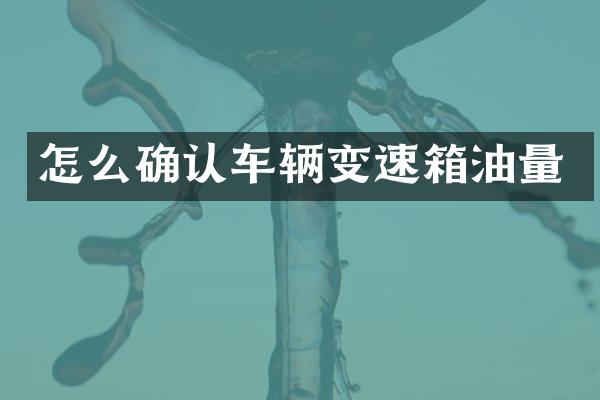 怎么确认车辆变速箱油量