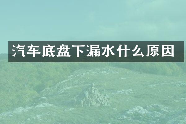 汽车底盘下漏水什么原因